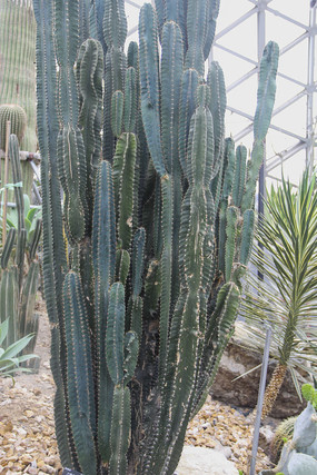 ��״������