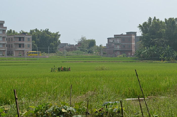 ��Ұ�����羰ͼƬ