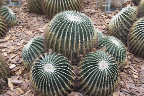 ������������