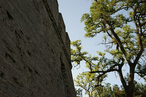 ��ƽ�ǵ���