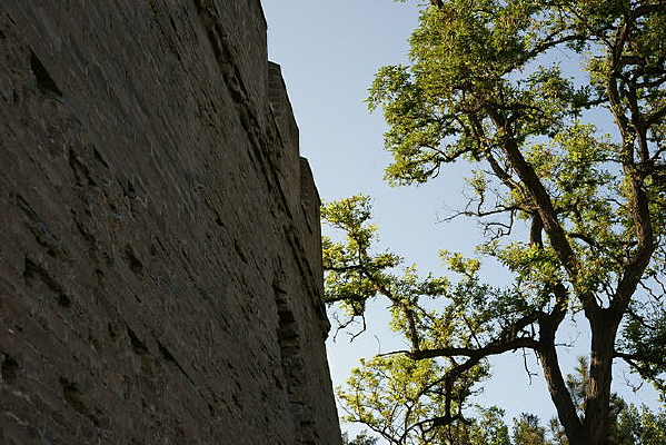 ��ƽ�ǵ���