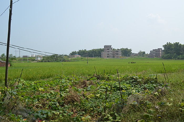 �����Ұ��ɫͼƬ