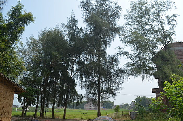 �����Ұ��԰���ͼƬ