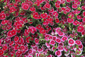 ���޻���