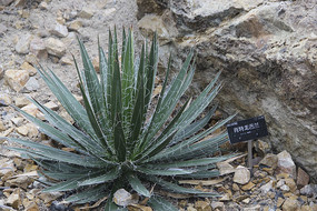 Ф��������