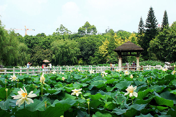 ���պ���