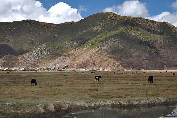 ��ԭԶ����ɽ��