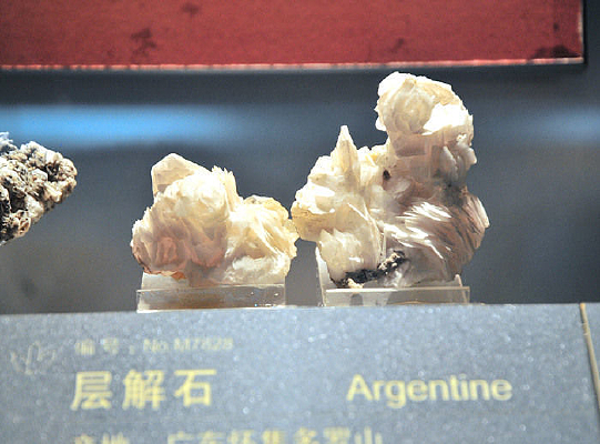 �㶫�����ʯ