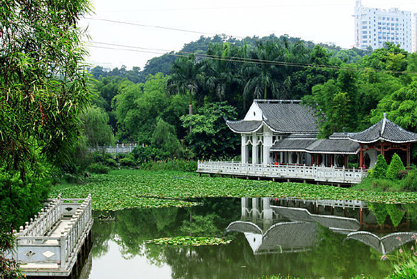 ������ͤ