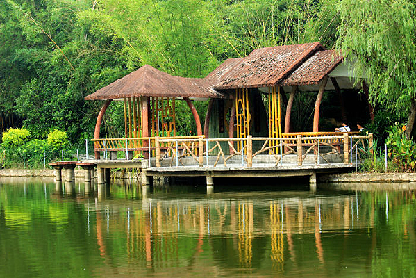 ������ͤ