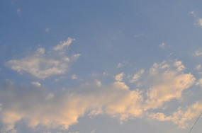 ��ɫ���Ʋ�����