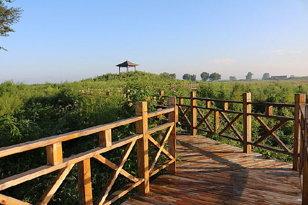 ��������ͤ