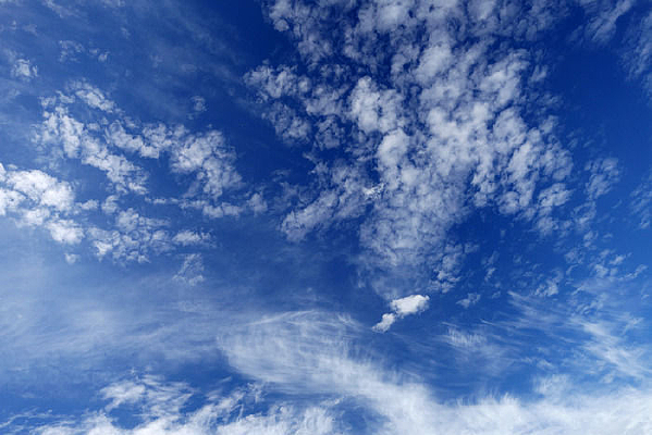 ������Ʒ��