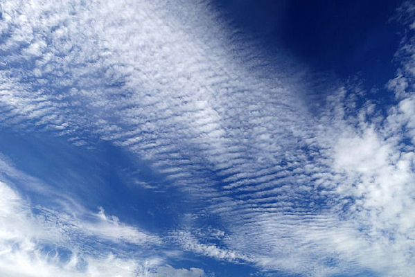 ������ƾ���