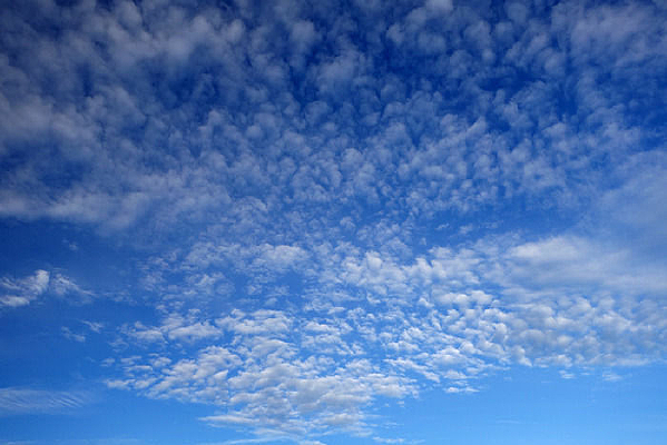 �ܼ����ƶ�