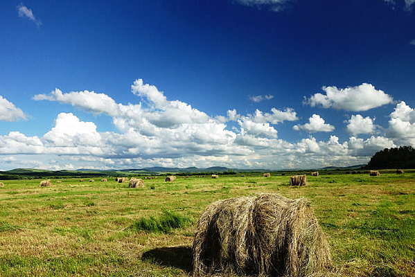 ���������ݵ�