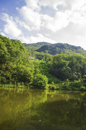 ǧɽ��̶ɽ�����������