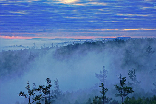 ���س���