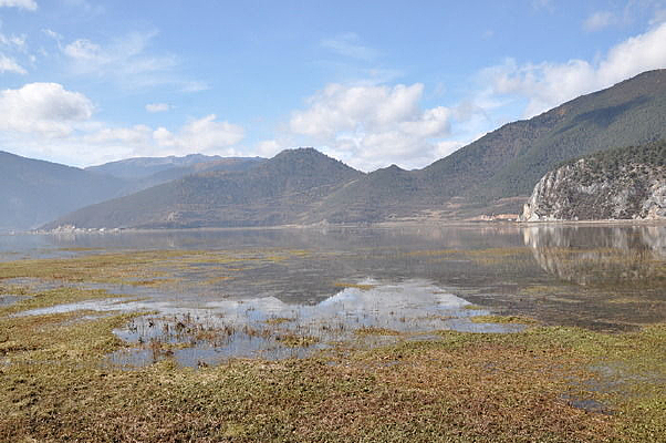 ʪ�ؾ��۵�Ӱ