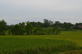 ˮ��������ͼƬ