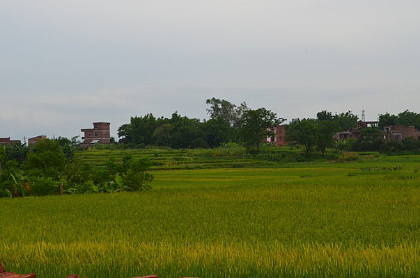 ��Ұ��������ͼƬ