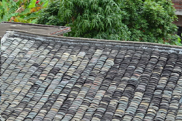 �ݶ��߷��羰ͼƬ