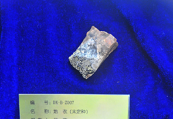 ��˹ƥ�α����������£�δ���֣�