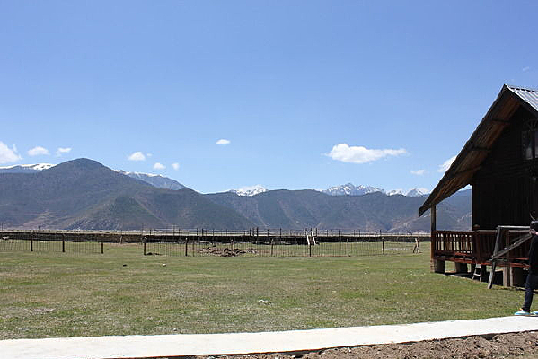 һƬ��ԭ�ϵ�ľ��