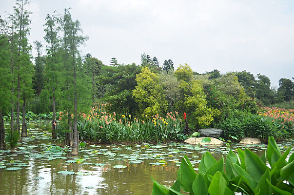 ����ĺ�������ͼƬ