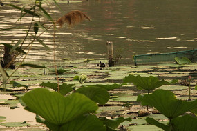 �����������ɻ���