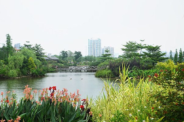 ��԰�����������