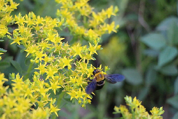 �����е��۷�