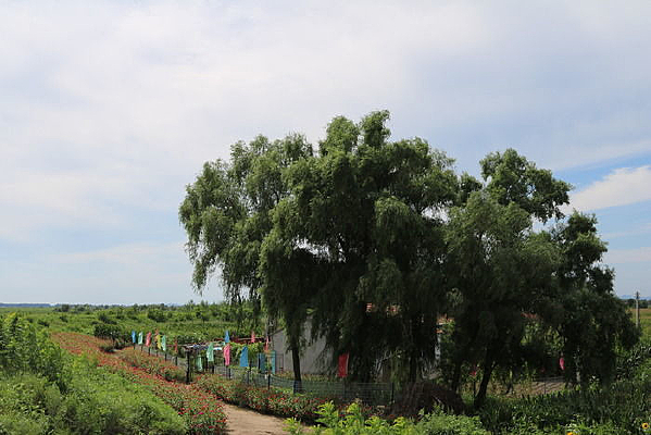 �����������