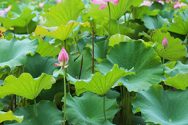 �ɻ���俪��