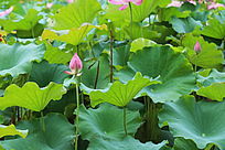 �ɻ���俪��