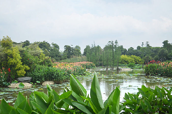 ������ɫ����ͼƬ