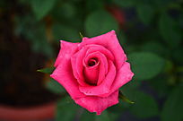 ��õ���ʻ���дͼƬ