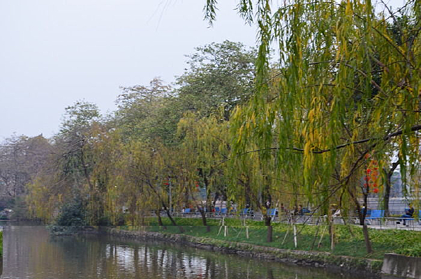 ����������