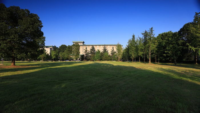 �����µ��̵�