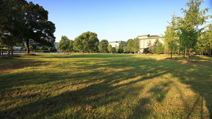 ���յ����У԰