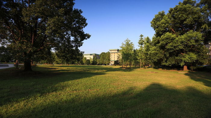 ����������人��ѧ