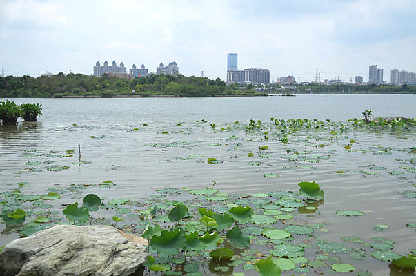 �����ĺɻ�����ͼƬ