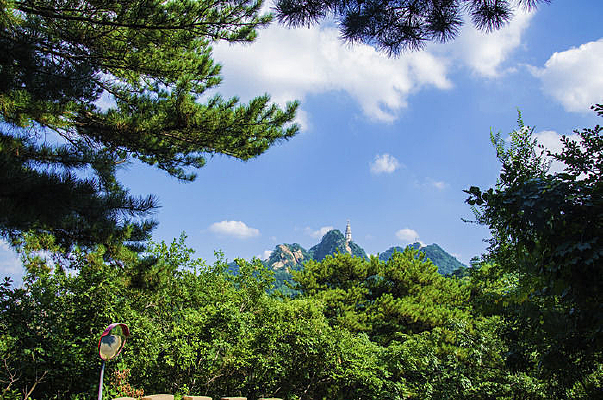 ǧɽ�ŵ�����ľ�����ձ�����ɴ��ɽ