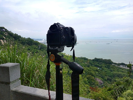 ��Ӱ�е����