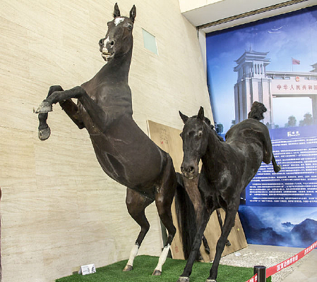 ˫������