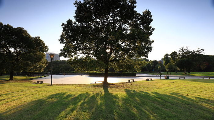 �����̵ع㳡