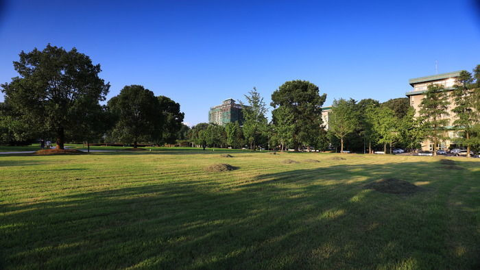 �����̵�У԰