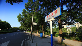 ǿ