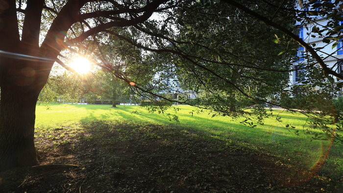 �����µ����У԰