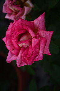 һ���������¼�������ͼƬ